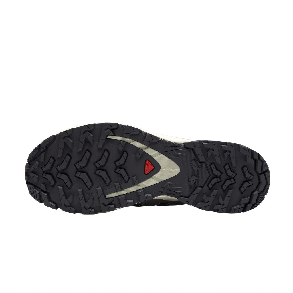 Salomon XA PRO 3D V9 GTX Sneakers – Dark Grey / Beige