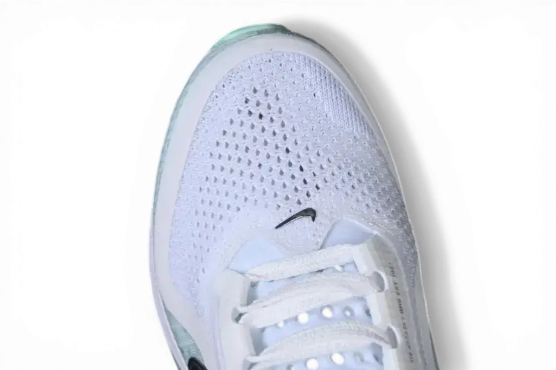 Nike Pegasus Premium Running Shoes – White / Mint Foam HQ2592-004